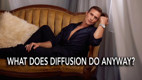 What does diffusion do anyway? How to soften your light by adding diffusion to your softbox 564