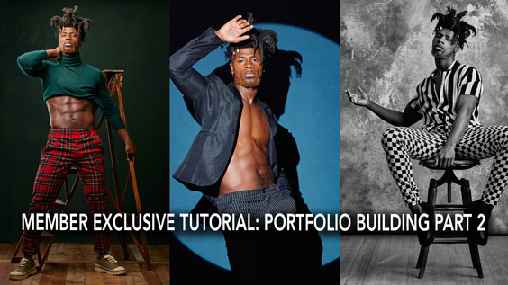 Member Exclusive: Model Portfolio Building Part 2